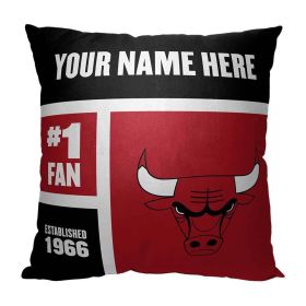 [Personalization Only] Chicago Bulls Colorblock Personalized Pillow