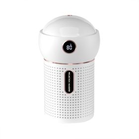 Projector Humidifier Student Dormitory Mute (Option: White-USB)